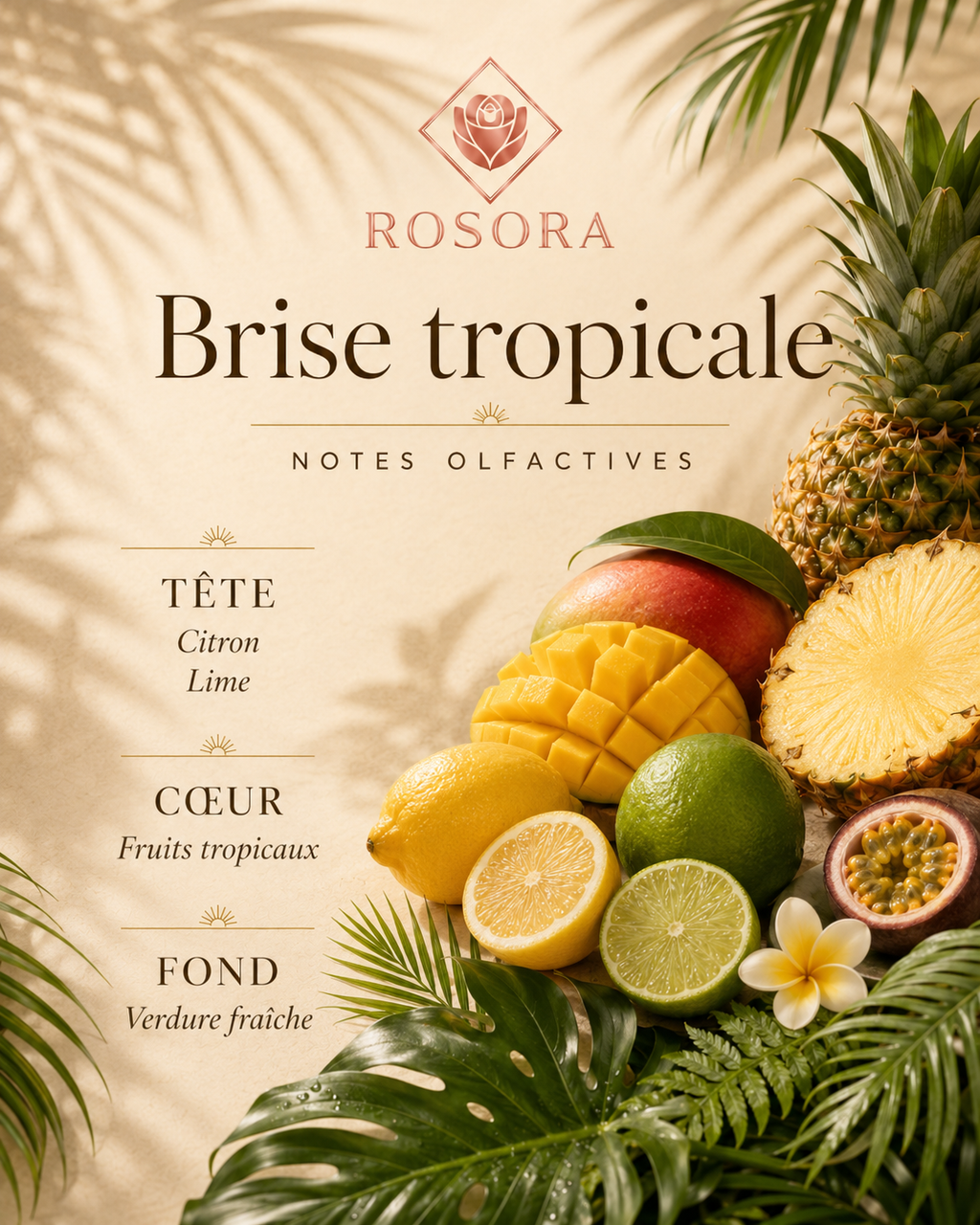 Brume d’ambiance — Brise tropicale