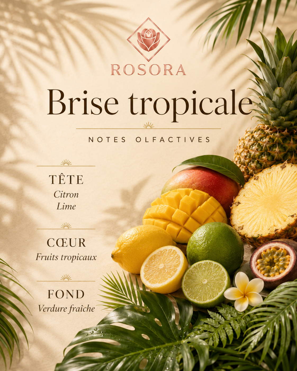 Brume d’ambiance — Brise tropicale